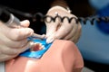 Close-up of dentist hands who is learning to treat teeth on mannequin of human head. Hands of a medical student in Royalty Free Stock Photo