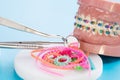 Close up dentist tools and orthodontic model. Royalty Free Stock Photo