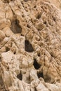 Close up of desert rock wall with deep dark holes and cracks on the surface Royalty Free Stock Photo