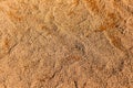 Close-up detail of a baseball stadium's infield clay surface.