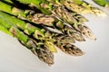 Close-up detail bunch of fresh raw green asparagus plant harvested at season on blue rustic fabric kitchen background