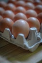 fresh chicken eggs in egg box Royalty Free Stock Photo