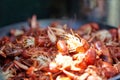 Close up detail of cooked red crawdads