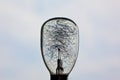 Close-Up Detail of Dark Incandescent Bulb Filament Against Soft Background Royalty Free Stock Photo