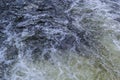 Close up detail of fierce white water river rapids from a clean deep green colored river forming a textured background Royalty Free Stock Photo