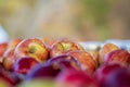 Close-up Detail of Freshly Picked Gala Apples Royalty Free Stock Photo