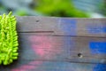 Close up detail of green mop on wooden background Royalty Free Stock Photo