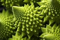 Close up detail of green Romanesco broccoli vegetable
