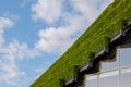 Detail of green sustainable facade with step of plant wall cover the building.