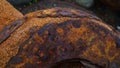 Detail from a huge rusty roller, Heimaey, Iceland