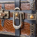 Close-up detail of the locks and handle of an antique crocodile skin suitcase.