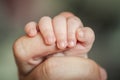 Close-up detail macro view of baby holding on to parent finger with his little hand Royalty Free Stock Photo