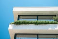 Close up detail of modern residential apartment building exterior with green plants on balcony. Modern sustainable