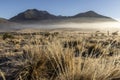 Molesworth Station, morning Mist, NZ Royalty Free Stock Photo