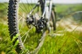 Close-up of detail of the mountain bicycle on the green grass. Royalty Free Stock Photo