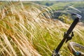 Close-up of detail of the mountain bicycle on the green grass. Royalty Free Stock Photo