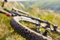 Close-up of detail of the mountain bicycle on the green grass. Royalty Free Stock Photo