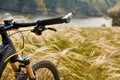 Close-up of detail of the mountain bicycle on the green grass.