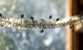 Close-up detail new year Christmas decoration, silver stars and rain on window light blurred bokeh background. Sparkling DIY Royalty Free Stock Photo