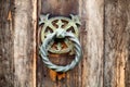 Close up detail of an ornate door knocker