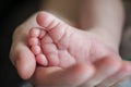 Close-up detail of parent holding cute and soft baby small leg in his hands Royalty Free Stock Photo