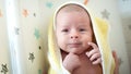 Close-up detail portrait of cute little peaceful newborn baby chield lies wrapped in a towel after a bath Royalty Free Stock Photo