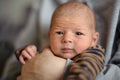 Close-up detail portrait of mother holding cute little peaceful newborn baby in her hands Royalty Free Stock Photo