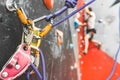 Close-up detail of rock climber wearing safety harness and climbing equipment outdoor. climbing carabiner insurance. Royalty Free Stock Photo