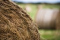 Close up detail of a roll of hay bale in a rural field Royalty Free Stock Photo