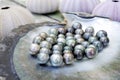 Tahitian Black Pearls in a Black lip oyster shell Royalty Free Stock Photo