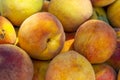 Close-up detail shot of fresh field orange peach Royalty Free Stock Photo