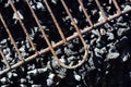 Close up and detail shot of a greasy and rusty grill grate hanging over gray charcoal in a grill Royalty Free Stock Photo