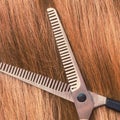 Close up detail. Special scissors cutting hair.