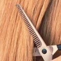 Close up detail. Special scissors cutting hair.