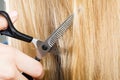 Close up detail. Special scissors cutting hair.