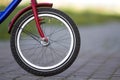 Close-up detail of teenager bicycle front wheel on gray pavement blurred bokeh background on bright sunny day. Urban comfortable t Royalty Free Stock Photo