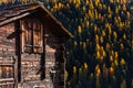 Detail of traditional wooden barn with a scenic view of changing pine tree in autumn near Matterhorn , Switzerland