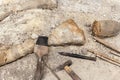 Close-up detail view of archeological excavation digging site with big dinosaurus or mammoth bone remains and different Royalty Free Stock Photo