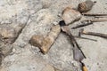 Close-up detail view of archeological excavation digging site with big dinosaurus or mammoth bone remains and different Royalty Free Stock Photo