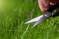 Close-up detail view of man hand cutting green grass on backyard garden with small nail scissors on bright summer sunny Royalty Free Stock Photo