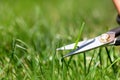 Close-up detail view of man hand cutting green grass on backyard garden with small nail scissors on bright summer sunny Royalty Free Stock Photo