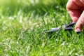 Close-up detail view of man hand cutting green grass on backyard garden with small nail scissors on bright summer sunny Royalty Free Stock Photo