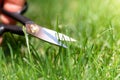 Close-up detail view of man hand cutting green grass on backyard garden with small nail scissors on bright summer sunny Royalty Free Stock Photo