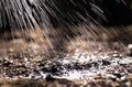 Water from a garden sprinkler falling and drops bouncing off the soil