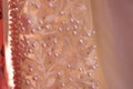 Close up of detail on wedding gown Royalty Free Stock Photo