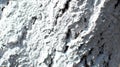 Close-up detail of whitewashed tree trunk. Texture background Royalty Free Stock Photo