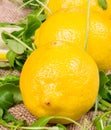 Close up detailed lemons with salad