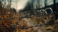 A close-up, detailed shot of a barbwire and razor wire fence's sharp features Royalty Free Stock Photo