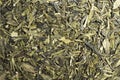 A Bunch Of Dried Green Tea Leaves Royalty Free Stock Photo