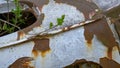 CLOSE UP: Detailed view of rust spreading across the body of abandoned vehicle.